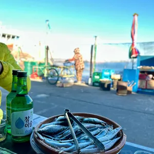 오징어난전신양호2호 대표 사진