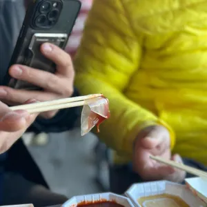 오징어난전신양호2호 사진