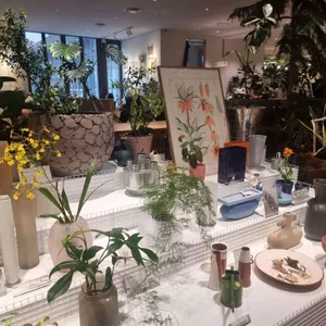 마이알레 대표 사진