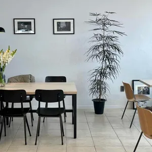 부쉬 대표 사진