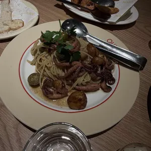 올리페페 대표 사진