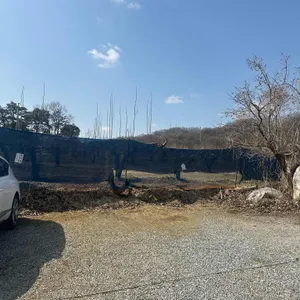 배꽃길61 리뷰 사진