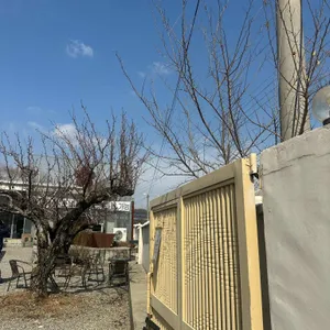 배꽃길61 대표 사진