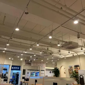 생선의 꿈 대표 사진