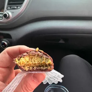 코지티아 대표 사진