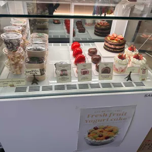 코지티아 리뷰 사진