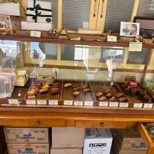 코지티아 대표 사진