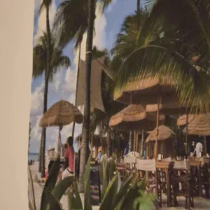 엘도밍고 대표 사진