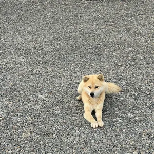 금잔디우렁이쌈밥 대표 사진