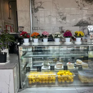 강이다 대표 사진