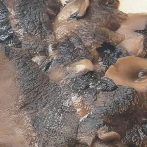 제1능이버섯백숙삼계탕 사진