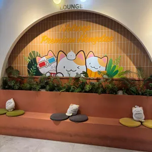 놀숲 프리미엄 대표 사진