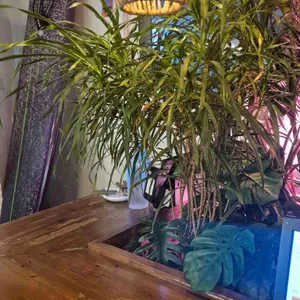 발리문 대표 사진