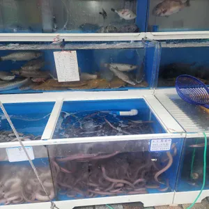 미정횟집 대표 사진