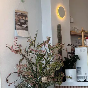 플랫하우스 대표 사진