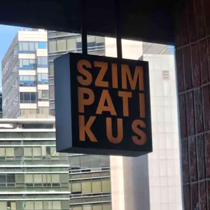 심퍼티쿠시 대표 사진