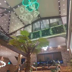 네잎클로버 대표 사진