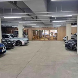 마지모우 리뷰 사진