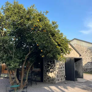 커피템플 사진 1