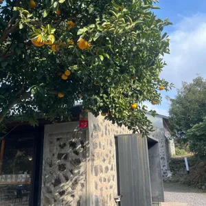 커피템플 리뷰 사진