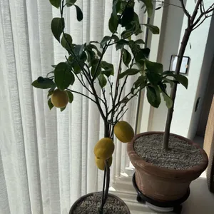 아베브 커피 대표 사진