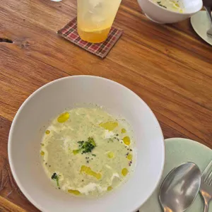 코쿤 대표 사진