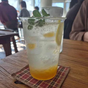 코쿤 대표 사진