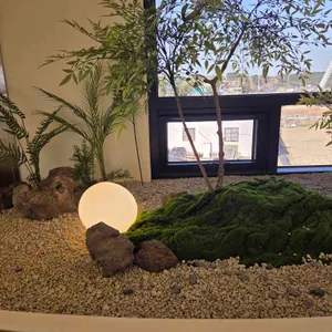 더 우산 대표 사진