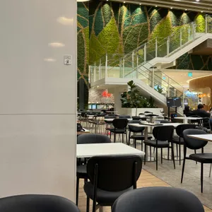 리플로우 대표 사진