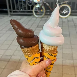 테라커피 사진 1