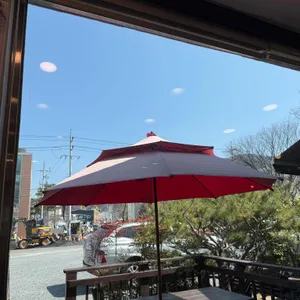 벚꽃나들버섯집 사진