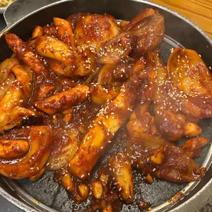 조가네갑오징어 대표 사진