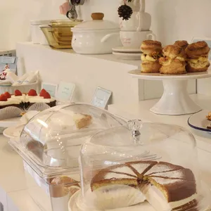 비진숲커피 대표 사진