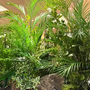 육밀도 대표 사진