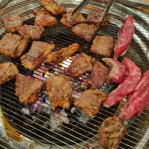 은행나무갈매기 사진