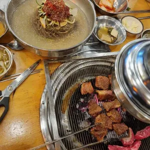 은행나무갈매기 사진