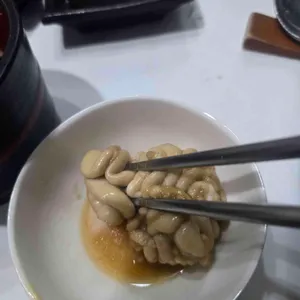 마쯔 대표 사진