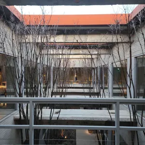 박봉담 리뷰 사진