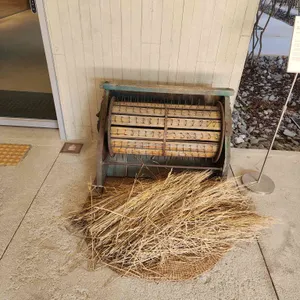 박봉담 리뷰 사진