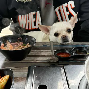 도토리 바지락손칼국수 대표 사진