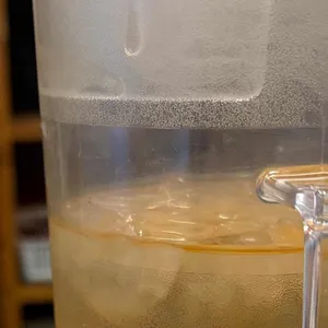 니고라멘 대표 사진