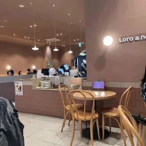 로로아눅 대표 사진