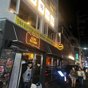 고리 대표 사진