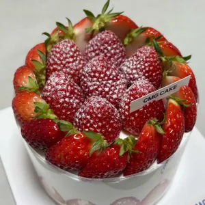 케익먹는곰 사진