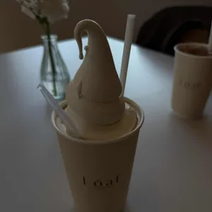 로프 대표 사진