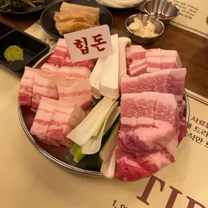 힙돈 사진