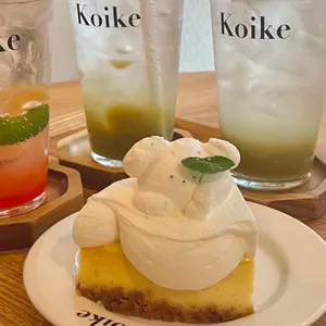 코이크 대표 사진