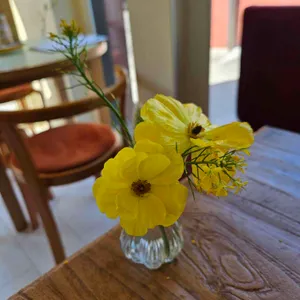 vivo pizza 리뷰 사진