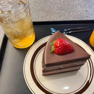 마스 로스터스 사진 1