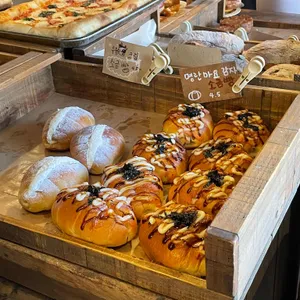 컬리폭스 대표 사진